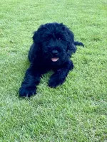 processed/31017b90-148d-4fbf-a024-80b1213bed49/facility/4294562f-4ccc-4937-a56b-88d0f4382daf