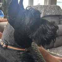 processed/31017b90-148d-4fbf-a024-80b1213bed49/facility/4e5bc105-3db6-4aaf-954a-974d2e6116c6