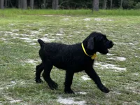 processed/31017b90-148d-4fbf-a024-80b1213bed49/facility/7d9faa73-b741-489f-9b15-674fceab49cd