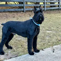 processed/31017b90-148d-4fbf-a024-80b1213bed49/facility/9d12aa40-3691-4275-b05b-83f53aad4100