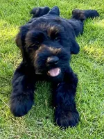 processed/31017b90-148d-4fbf-a024-80b1213bed49/facility/a795d46e-d790-4a8f-857c-645743285072