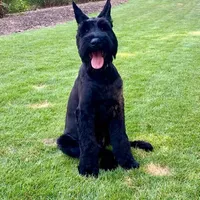 processed/31017b90-148d-4fbf-a024-80b1213bed49/facility/db35741d-e802-4b4a-98eb-69b7f6f8533c