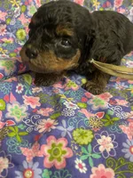 processed/31017b90-148d-4fbf-a024-80b1213bed49/listing/6f6a7107-62ee-40c5-b1e6-d65f9d6b160d/1d5484eb-9f10-4284-a28c-aab96eda1b2b