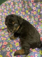 processed/31017b90-148d-4fbf-a024-80b1213bed49/listing/6f6a7107-62ee-40c5-b1e6-d65f9d6b160d/5f052607-ebd6-4998-8fc5-e39861afea8d