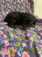 processed/31017b90-148d-4fbf-a024-80b1213bed49/listing/6f6a7107-62ee-40c5-b1e6-d65f9d6b160d/747eca88-158e-4a06-9eb6-098ce718a2cb