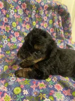 processed/31017b90-148d-4fbf-a024-80b1213bed49/listing/a65675de-a5b0-4fde-8e6d-771a8eeb9141/b387dc5c-58f1-4511-b190-72fc82dba765