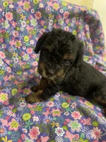 processed/31017b90-148d-4fbf-a024-80b1213bed49/listing/a65675de-a5b0-4fde-8e6d-771a8eeb9141/bf162134-d6a4-4589-a46a-1c198a833a06