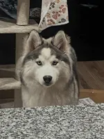 processed/311190dd-c811-46ea-9451-356dd44f6c3e/listing/6cc6bf1d-be0a-44bf-b521-f41610c7302d/3553c5d5-793b-45bc-851b-c2f736aee85f