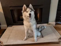 processed/311190dd-c811-46ea-9451-356dd44f6c3e/listing/6cc6bf1d-be0a-44bf-b521-f41610c7302d/549b356b-73d8-4f3a-bc58-0590884aa89e