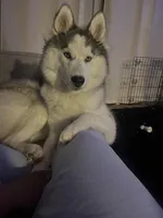 processed/311190dd-c811-46ea-9451-356dd44f6c3e/listing/6cc6bf1d-be0a-44bf-b521-f41610c7302d/c5a079e9-c3a2-4d57-92f2-8f49a5620a52