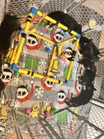 Owner will name, a female German Shepherd Dog for sale in Surry, VA – Photo 7 of 7