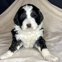 processed/3122d60e-c5b4-4950-902f-3b1c49ab7104/facility/00a79596-4f76-4215-a72b-4ed51711f48e