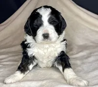 processed/3122d60e-c5b4-4950-902f-3b1c49ab7104/facility/00a79596-4f76-4215-a72b-4ed51711f48e