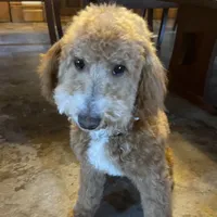 processed/3122d60e-c5b4-4950-902f-3b1c49ab7104/facility/0c76ffc2-f838-445a-9340-564c4ae476fb