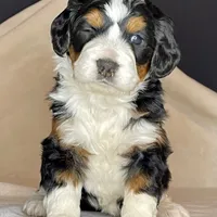 processed/3122d60e-c5b4-4950-902f-3b1c49ab7104/facility/4135898f-1ec0-4c7f-b7a1-b910f139c440