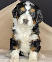 processed/3122d60e-c5b4-4950-902f-3b1c49ab7104/facility/4135898f-1ec0-4c7f-b7a1-b910f139c440