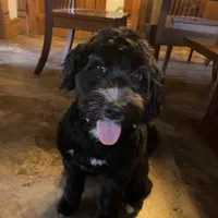 processed/3122d60e-c5b4-4950-902f-3b1c49ab7104/facility/85b1c26f-830a-4cd1-a76d-cbe7645b52cb