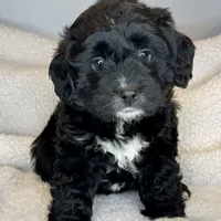 processed/3122d60e-c5b4-4950-902f-3b1c49ab7104/facility/bd80028a-0d95-45b8-8d9b-6bbabacfa458