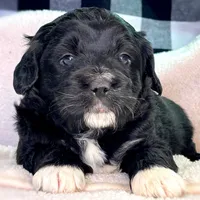 processed/3122d60e-c5b4-4950-902f-3b1c49ab7104/facility/e0bcf5da-a10d-4902-adac-ba57f31f7324