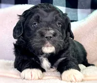 processed/3122d60e-c5b4-4950-902f-3b1c49ab7104/facility/e0bcf5da-a10d-4902-adac-ba57f31f7324