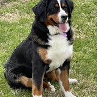 processed/3122d60e-c5b4-4950-902f-3b1c49ab7104/facility/e1c9476d-d53c-4a9f-9e31-157c365b2eb8