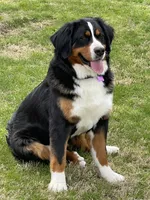 processed/3122d60e-c5b4-4950-902f-3b1c49ab7104/facility/e1c9476d-d53c-4a9f-9e31-157c365b2eb8