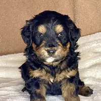 processed/3122d60e-c5b4-4950-902f-3b1c49ab7104/facility/e55dbf75-8278-4582-97cc-ec6713629b87