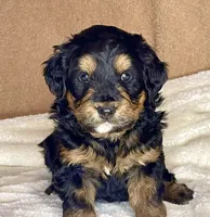 processed/3122d60e-c5b4-4950-902f-3b1c49ab7104/facility/e55dbf75-8278-4582-97cc-ec6713629b87