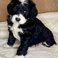 processed/3122d60e-c5b4-4950-902f-3b1c49ab7104/facility/ef8ca46d-20c2-4c50-813f-c71a2ac86a97