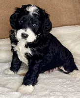 processed/3122d60e-c5b4-4950-902f-3b1c49ab7104/facility/ef8ca46d-20c2-4c50-813f-c71a2ac86a97