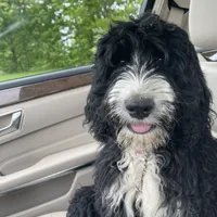 processed/3122d60e-c5b4-4950-902f-3b1c49ab7104/facility/fa0b37eb-4712-4dfe-8ffa-8b43dc8424f3