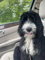 processed/3122d60e-c5b4-4950-902f-3b1c49ab7104/facility/fa0b37eb-4712-4dfe-8ffa-8b43dc8424f3