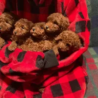 processed/312dd3c0-d628-4262-9ffa-3b1d9d05301c/facility/4a6df512-c8f8-4ad9-b491-4c3a8539483e