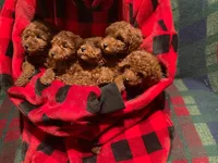 processed/312dd3c0-d628-4262-9ffa-3b1d9d05301c/facility/4a6df512-c8f8-4ad9-b491-4c3a8539483e