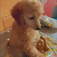 processed/312dd3c0-d628-4262-9ffa-3b1d9d05301c/facility/7a7fccf7-9a79-4a88-83d7-07e54207316d