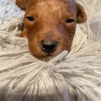 processed/312dd3c0-d628-4262-9ffa-3b1d9d05301c/facility/c6228b12-6530-4390-bc4e-9fa1268448c4