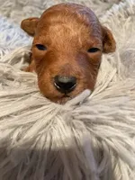 processed/312dd3c0-d628-4262-9ffa-3b1d9d05301c/facility/c6228b12-6530-4390-bc4e-9fa1268448c4