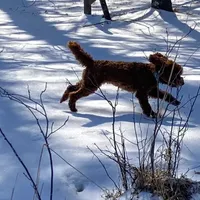 processed/312dd3c0-d628-4262-9ffa-3b1d9d05301c/facility/e42017a3-9344-483e-be37-cf9872b44921