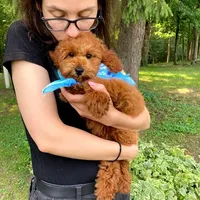 processed/312dd3c0-d628-4262-9ffa-3b1d9d05301c/facility/ec427112-c01d-4913-8529-439dd68ceac5