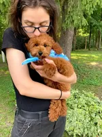 processed/312dd3c0-d628-4262-9ffa-3b1d9d05301c/facility/ec427112-c01d-4913-8529-439dd68ceac5