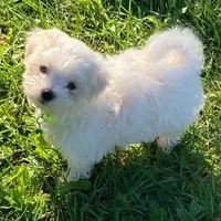 processed/312dd3c0-d628-4262-9ffa-3b1d9d05301c/facility/ef3db84b-ac99-41f6-9b75-8a3bc62101ea