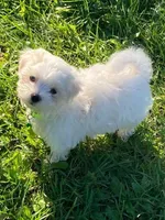 processed/312dd3c0-d628-4262-9ffa-3b1d9d05301c/facility/ef3db84b-ac99-41f6-9b75-8a3bc62101ea