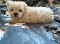 processed/312dd3c0-d628-4262-9ffa-3b1d9d05301c/listing/7f89b25f-82a3-408f-8a78-ef8322d56d29/819b45f8-f060-4e65-888c-526fd36cbfc0