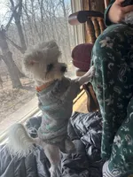 processed/312dd3c0-d628-4262-9ffa-3b1d9d05301c/listing/7f89b25f-82a3-408f-8a78-ef8322d56d29/a06dceb6-521a-48c7-8259-8e4a6c41f334