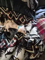 Puppy 1, a male Miniature Dachshund for sale in Wallace, NC – 1 of 1