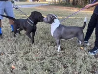 processed/3143355e-2f25-4ef6-b05e-b52ac4e962e8/listing/bfbb514b-ce95-4351-b66d-703d70320d64/5730b250-00e9-483c-90ae-520c98880ec7