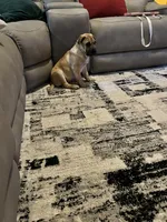 processed/3143355e-2f25-4ef6-b05e-b52ac4e962e8/listing/bfbb514b-ce95-4351-b66d-703d70320d64/5f3bc9a7-055d-4476-926e-ea848a724e5a