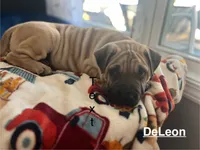 processed/3143355e-2f25-4ef6-b05e-b52ac4e962e8/listing/bfbb514b-ce95-4351-b66d-703d70320d64/ca8a18d7-101a-4ed5-ab46-768e9271ea54