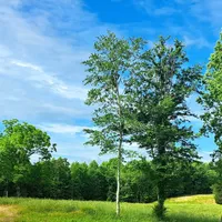 processed/3149191b-7caf-44ea-93a3-777c3584e35d/facility/0e794e95-5e96-4fe7-a1fa-9ec7ce7a7747