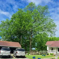 processed/3149191b-7caf-44ea-93a3-777c3584e35d/facility/95c79b29-382e-4edf-bb5b-3a5500990303